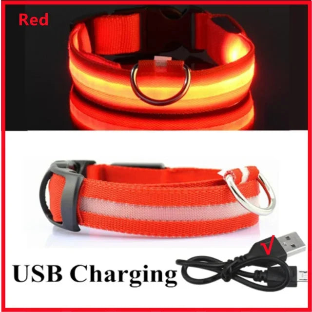 LED Glowing Dog Collar Adjustable Flashing Rechargea Luminous Collar Night Anti-Lost Dog Light