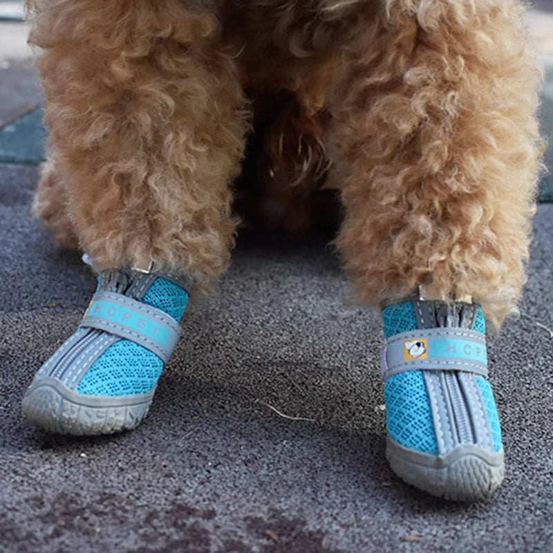 Winter Dog Boots