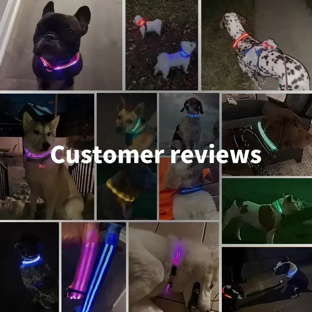 LED Glowing Dog Collar Adjustable Flashing Rechargea Luminous Collar Night Anti-Lost Dog Light