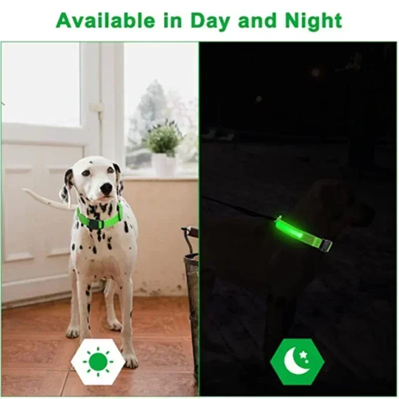 LED Glowing Dog Collar Adjustable Flashing Rechargea Luminous Collar Night Anti-Lost Dog Light